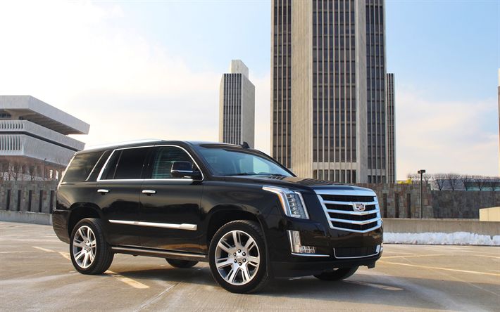 Luxury SUV Rentals